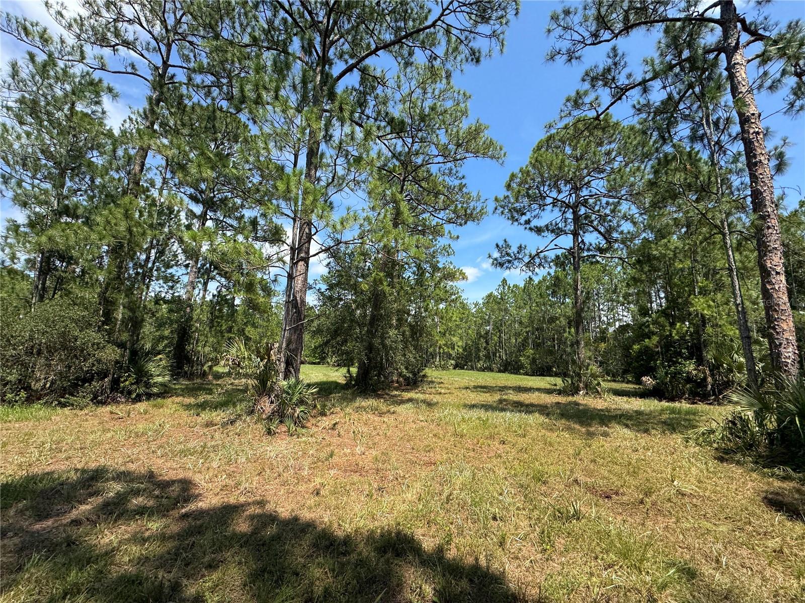 INDIAN RIVER PARK - Residential