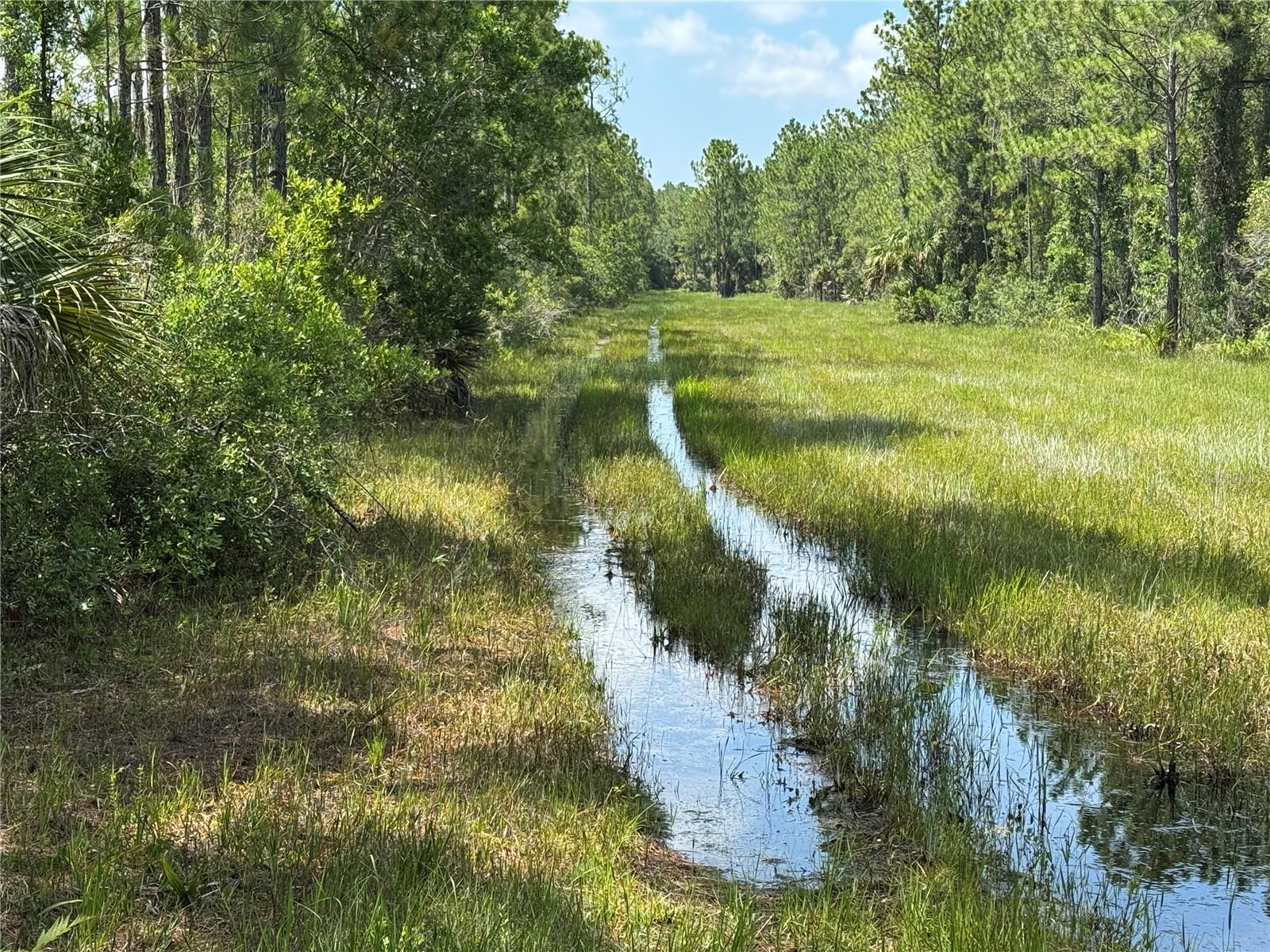 INDIAN RIVER PARK - Residential