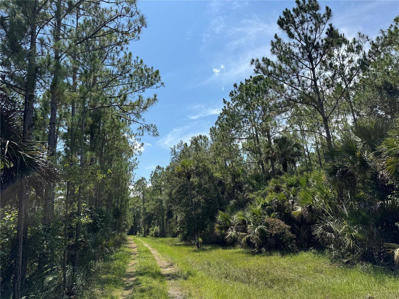 INDIAN RIVER PARK - Residential