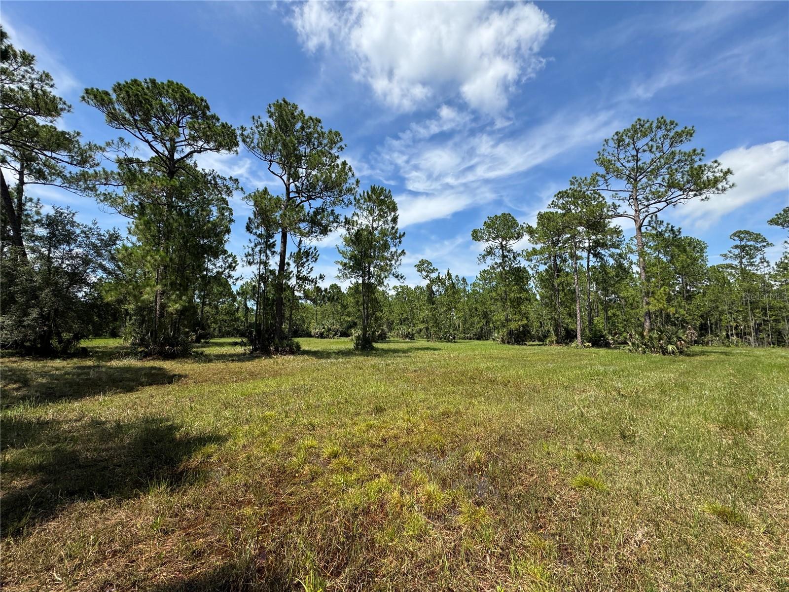 INDIAN RIVER PARK - Residential