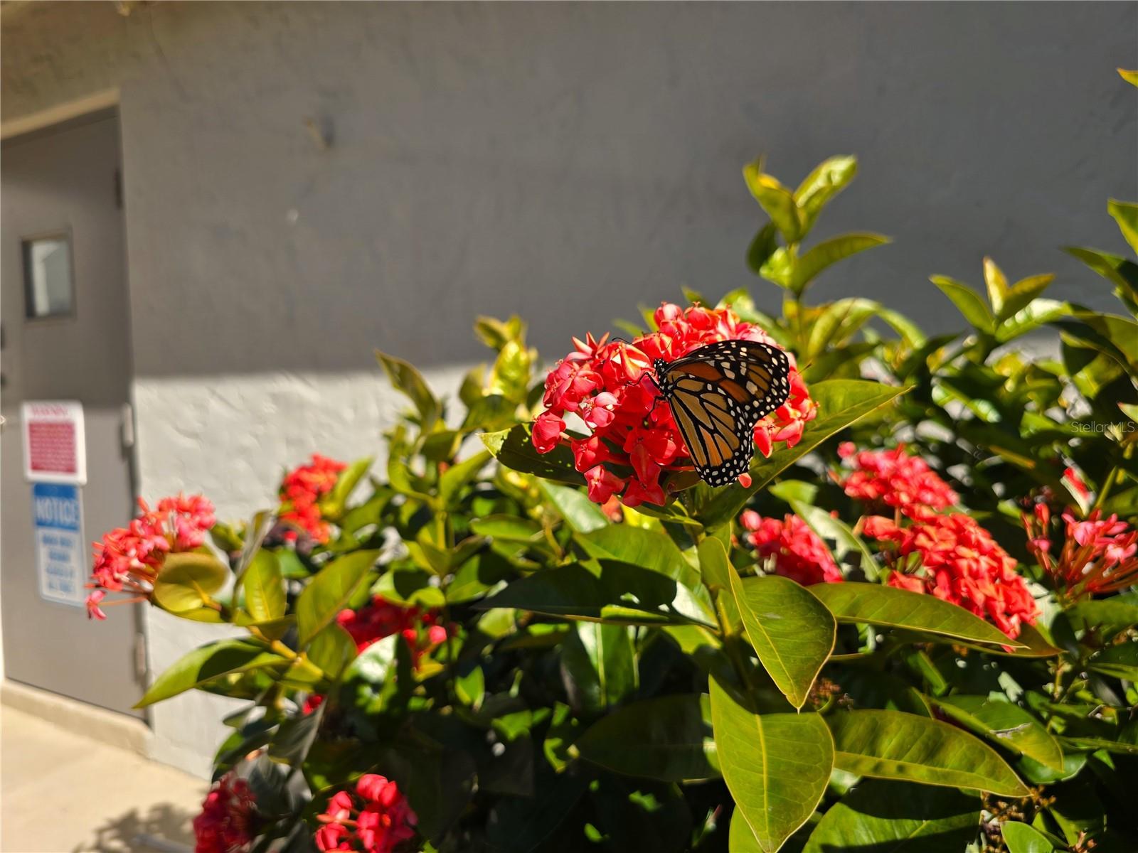 COACHMAN CREEK CONDO - Residential