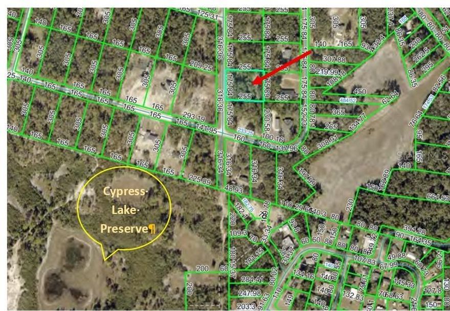 Build your dream home on this .90 acre site! Partially cleared, flat, trees, ready to build. Parcel located in Hernando County! About 4 miles to shopping, restaurants and Interstate I-75. Quiet country living with an easy commute to Tampa with about a 45 mile drive, about 48 miles to Lakeland, about 56 miles Orlando and about 53 miles Ocala. Centrally located between downtown Dade City (About 13 Miles) and downtown Brooksville (About 18 miles) with monthly and annual events. Walking distance to Cypress Lake Preserve with walking trails. Just 4 miles to the Withlacoochee State Trail with paved and natural trails for hiking, biking, birding, 5 miles Croom Motorcycle Area at Withlacoochee State Forest with camping and motor bike trails and about 7 miles to Silver Lake Campground where you can launch your boat, fish and enjoy the lake that connects to the Withlacoochee River. About a mile to Ridge Manor park with picnic shelters, ball fields and playground and About 2 miles to Ridge Manor Community Center with social events.