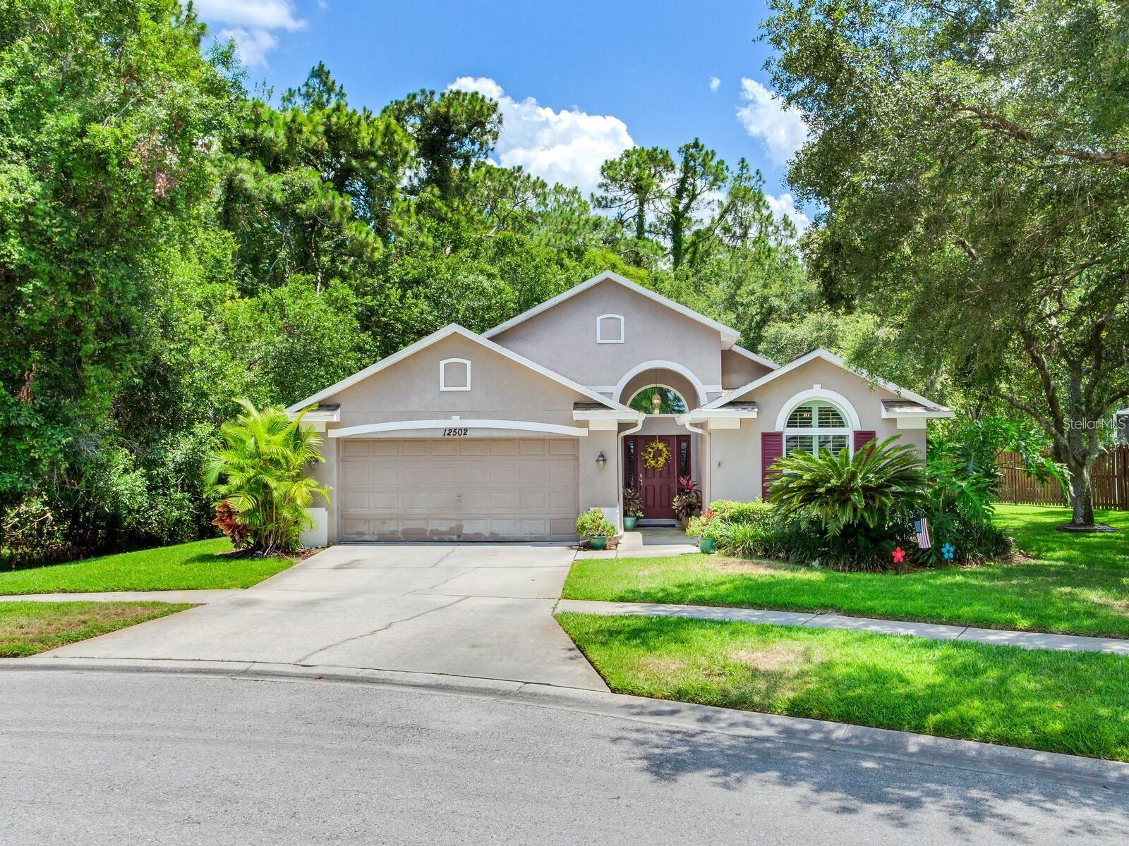 33626 Homes For Sale & Real Estate | REMAX