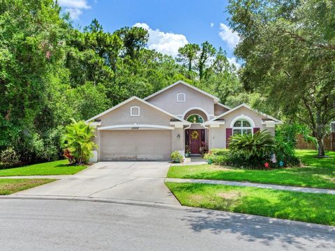 Photo of 12502 Blazing Star Drive, Tampa, FL 33626 (MLS # TB8514924)