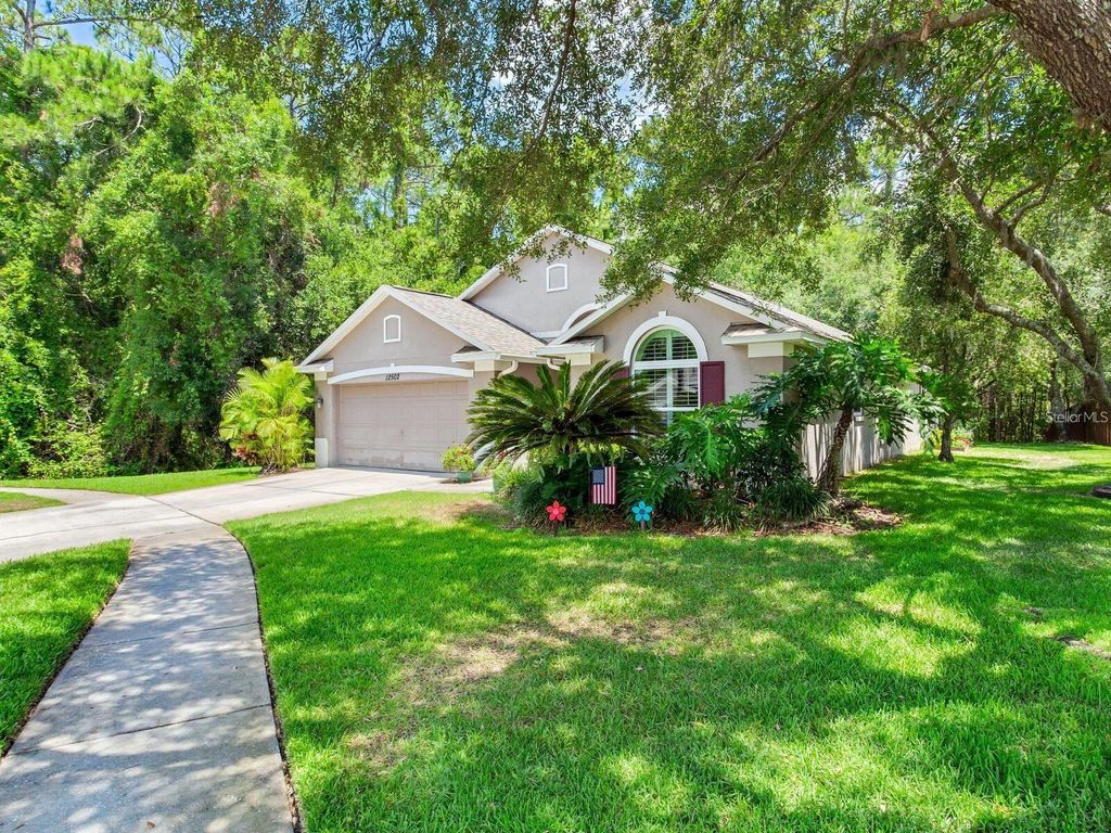 Photo of 12502 Blazing Star Drive, Tampa, FL 33626 (MLS # TB8514924)