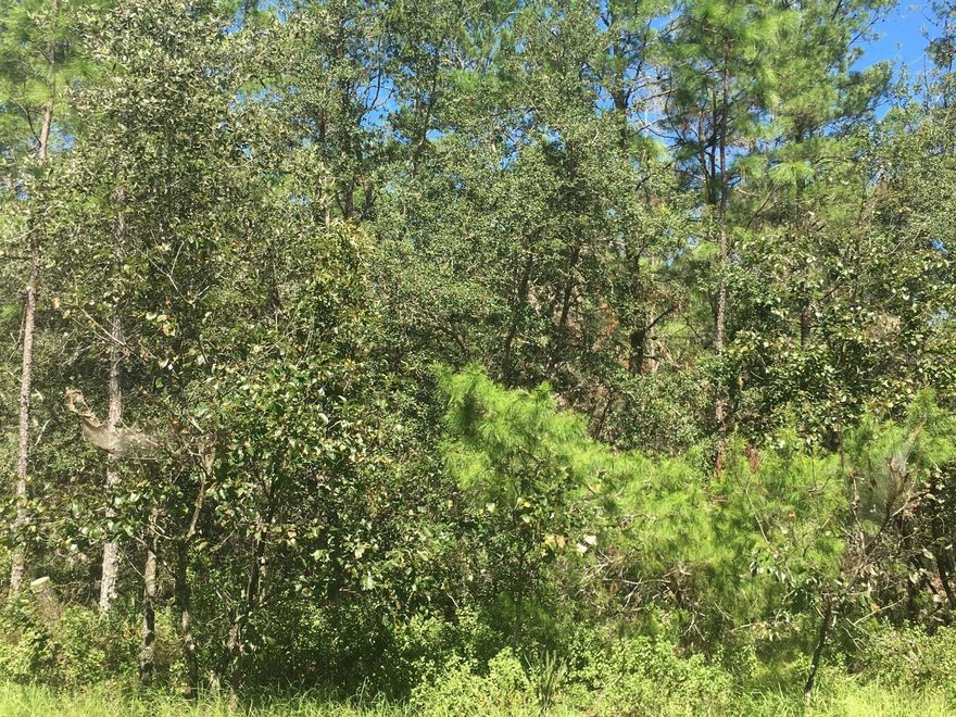 Thinking of building your forever home? This quiet and peaceful 1.00 acre lot location awaits. Easy access to i-75, shopping, parks and schools. A must see!