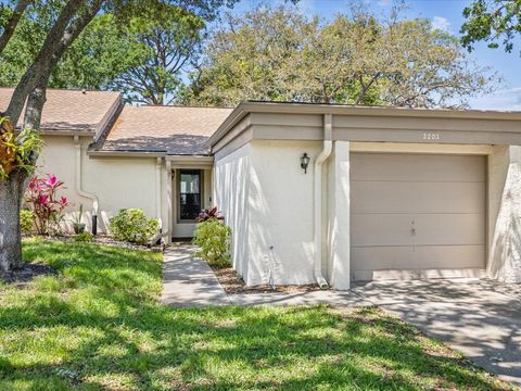 Photo of 3203 Green Dolphin Street, Tarpon Springs, FL 34689 (MLS # TB8375406)