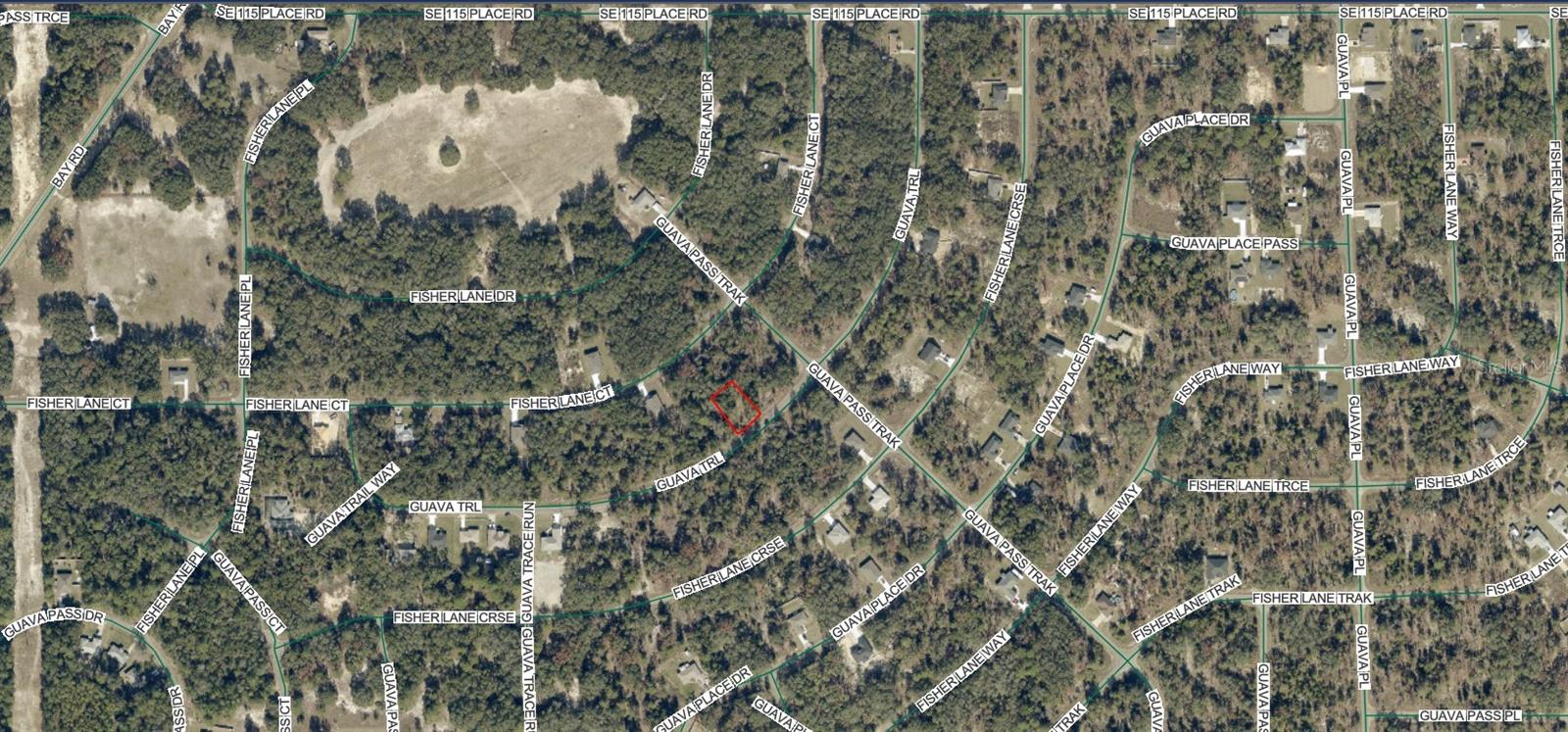 9038-1252-28 GUAVA TRAIL