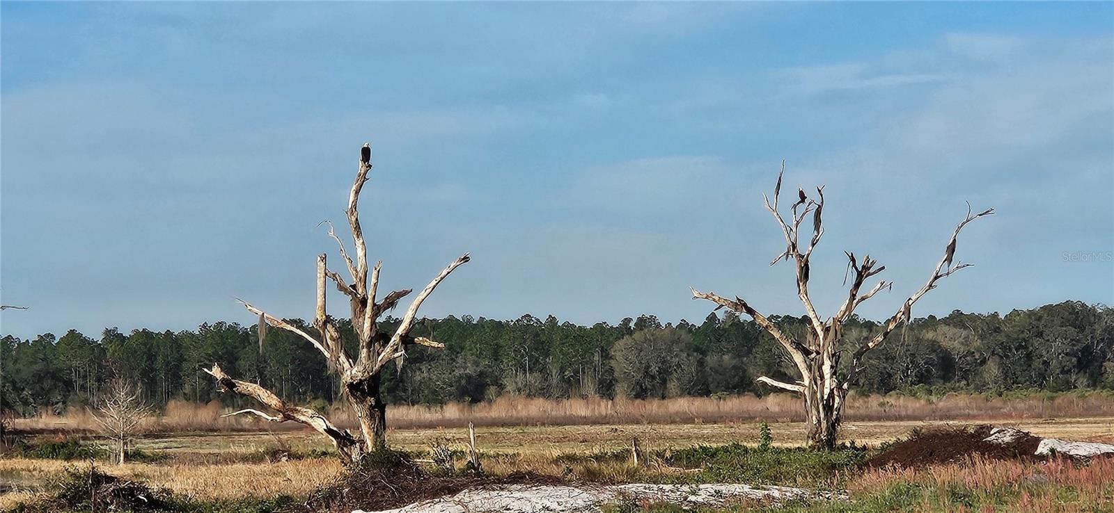 Lot 4 - 12.38ac E HWY 318