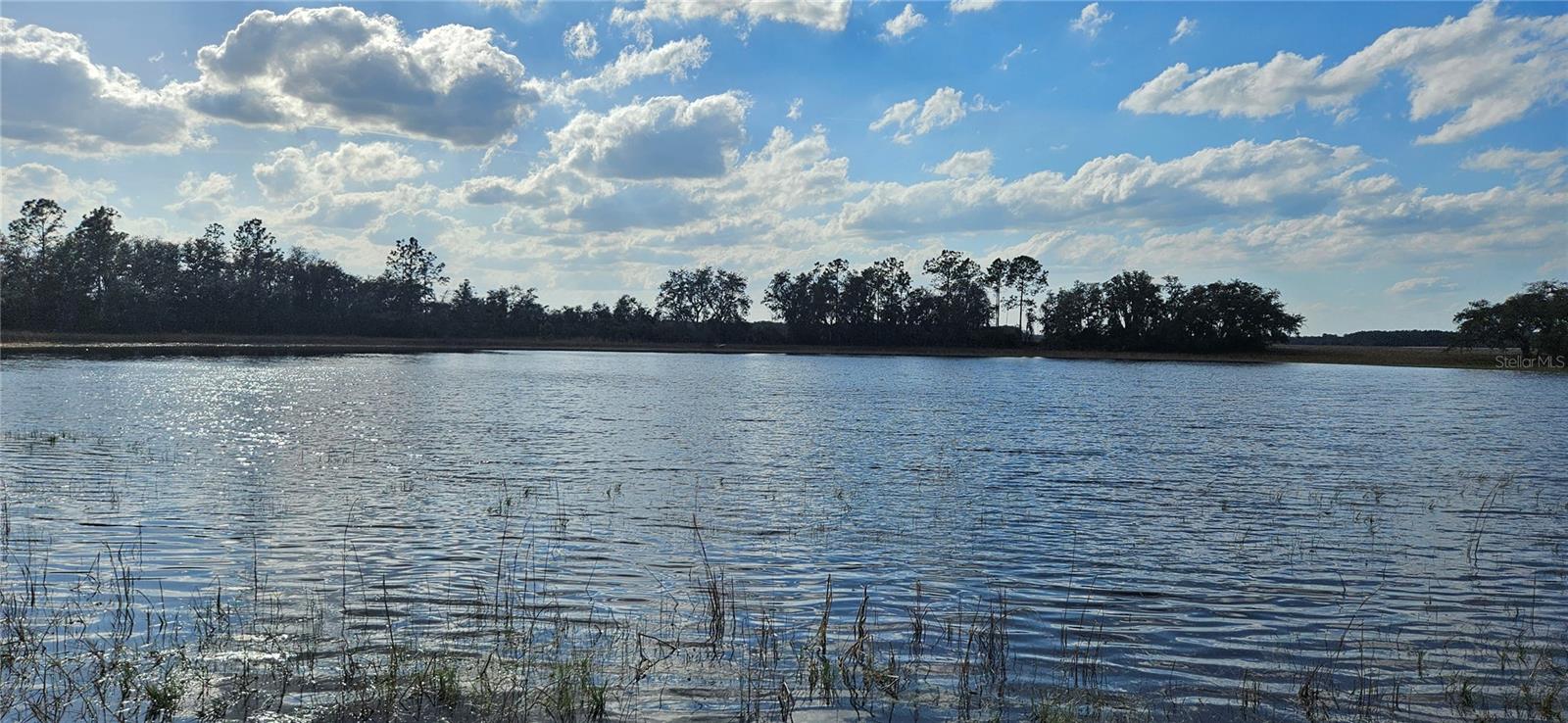 Lot 4 - 12.38ac E HWY 318