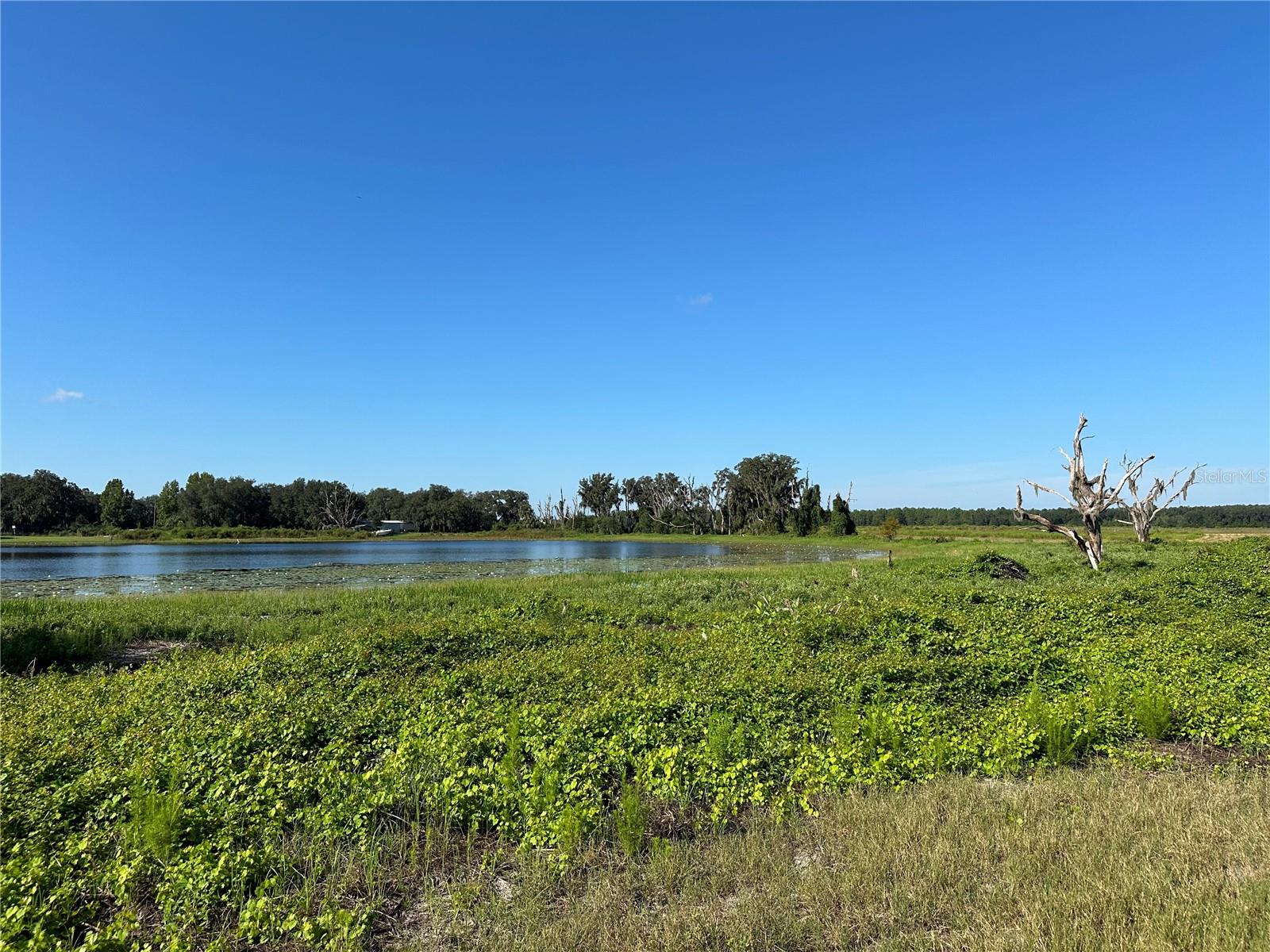 Lot 4 - 12.38ac E HWY 318