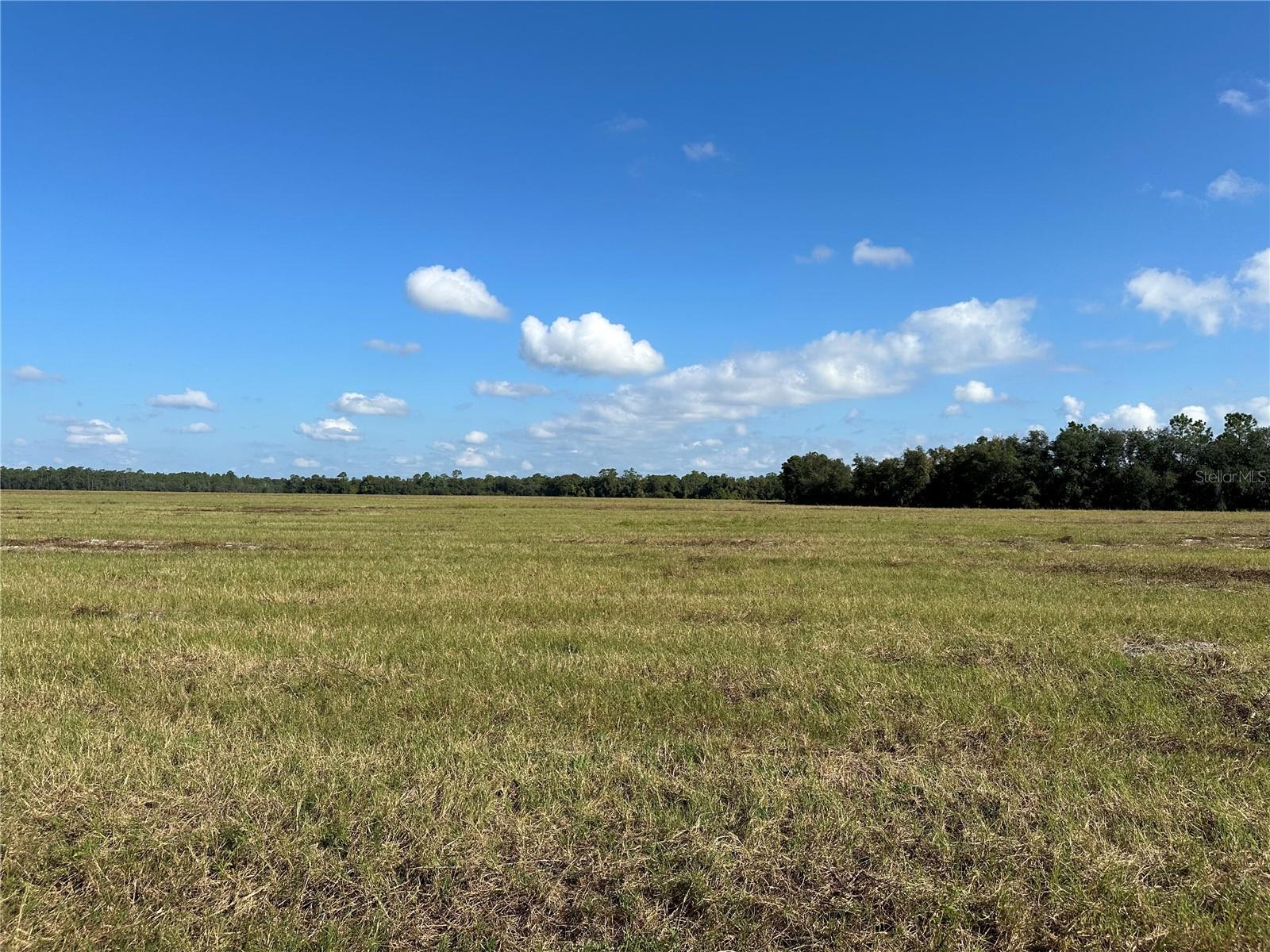 Lot 4 - 12.38ac E HWY 318