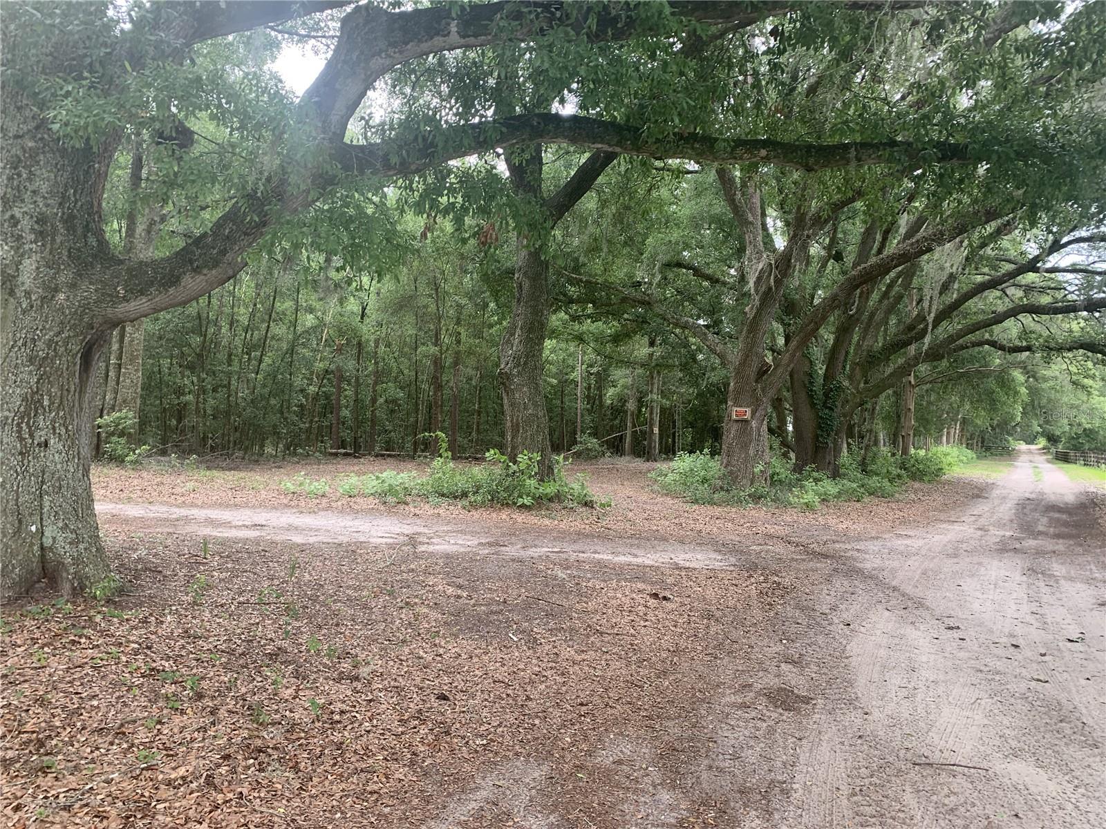 SW 20TH STREET