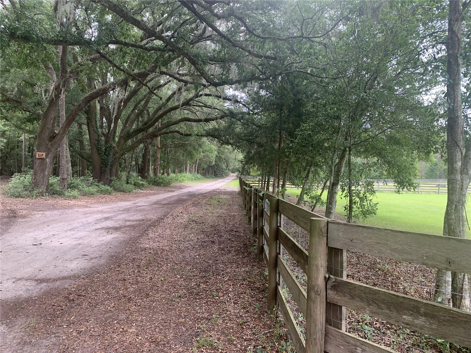SW 20TH STREET