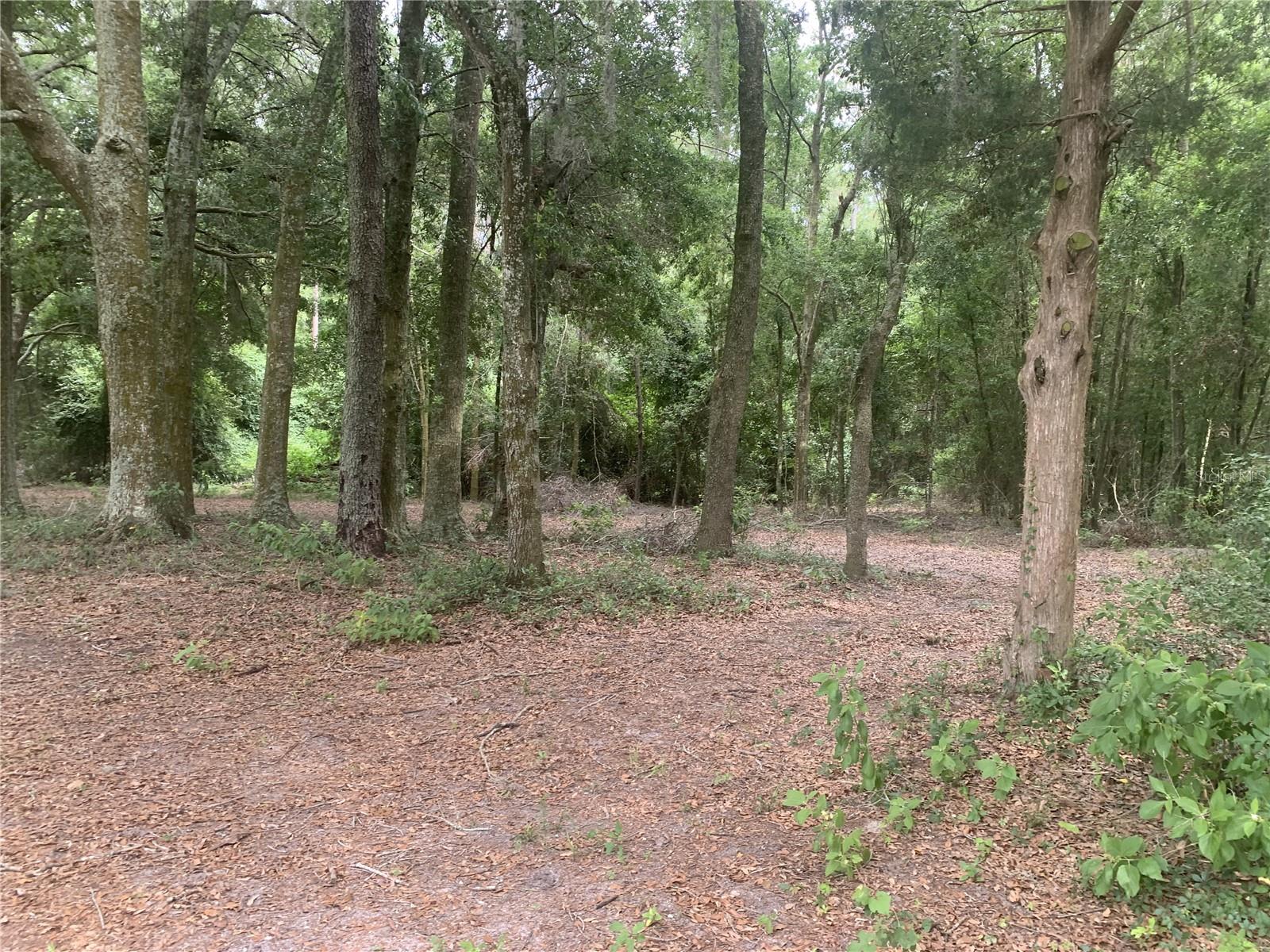 SW 20TH STREET
