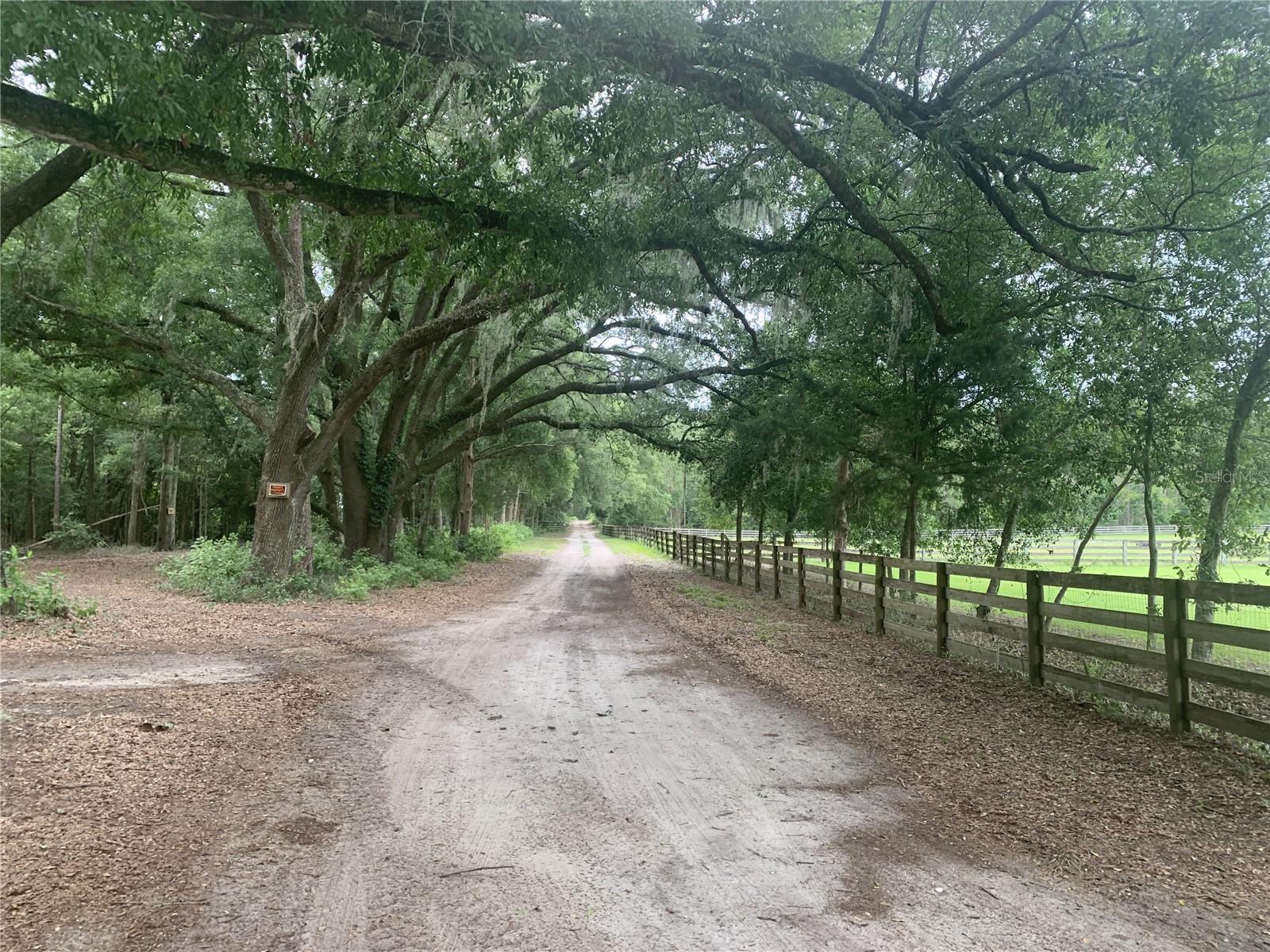SW 20TH STREET