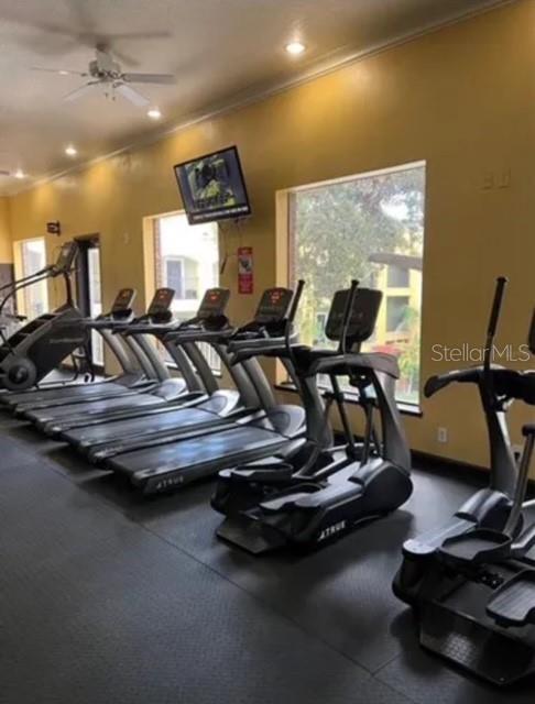 THE QUARTER AT YBOR - Residential Lease