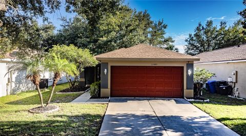 A home in RIVERVIEW