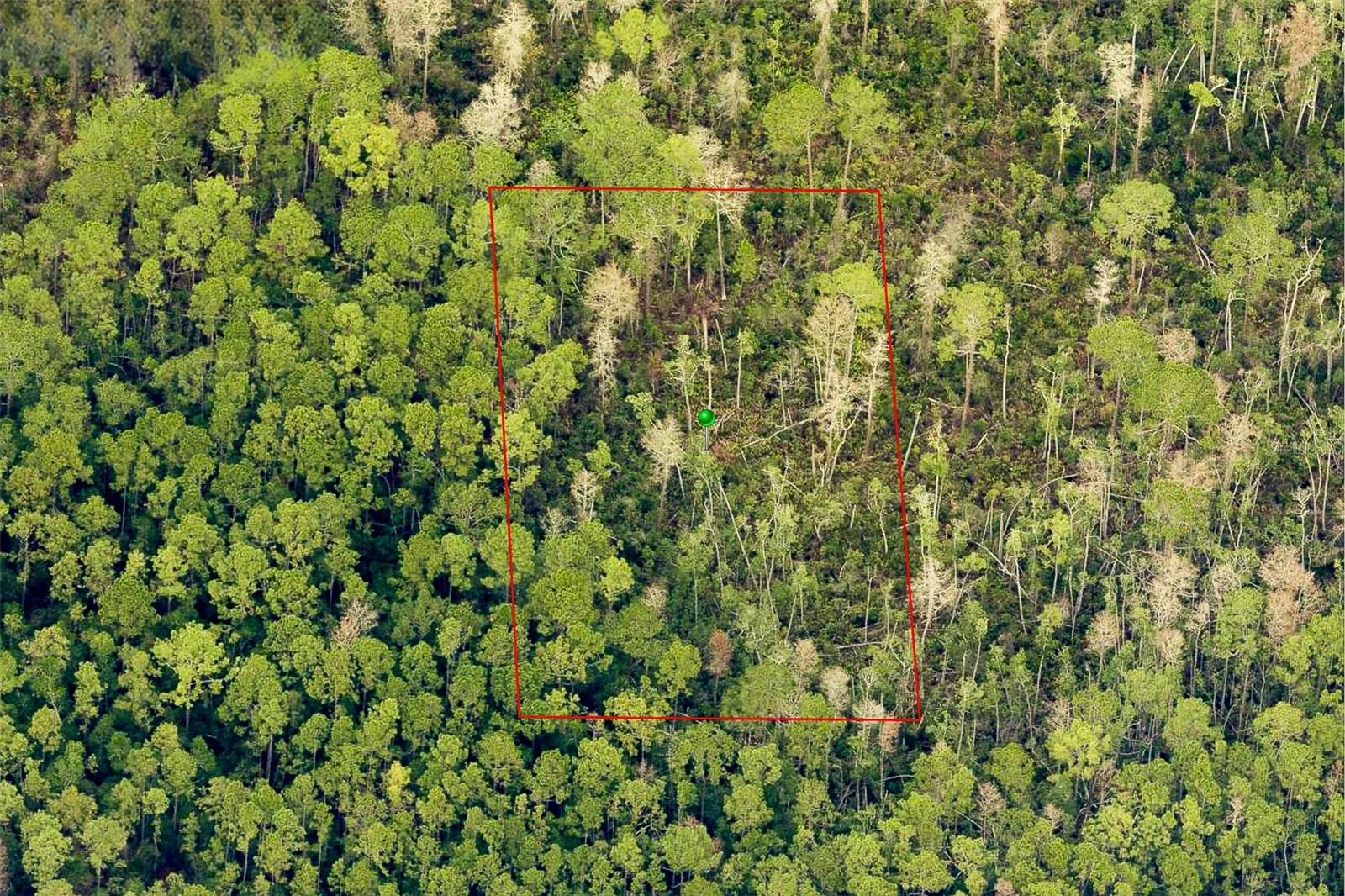 Listing image 7