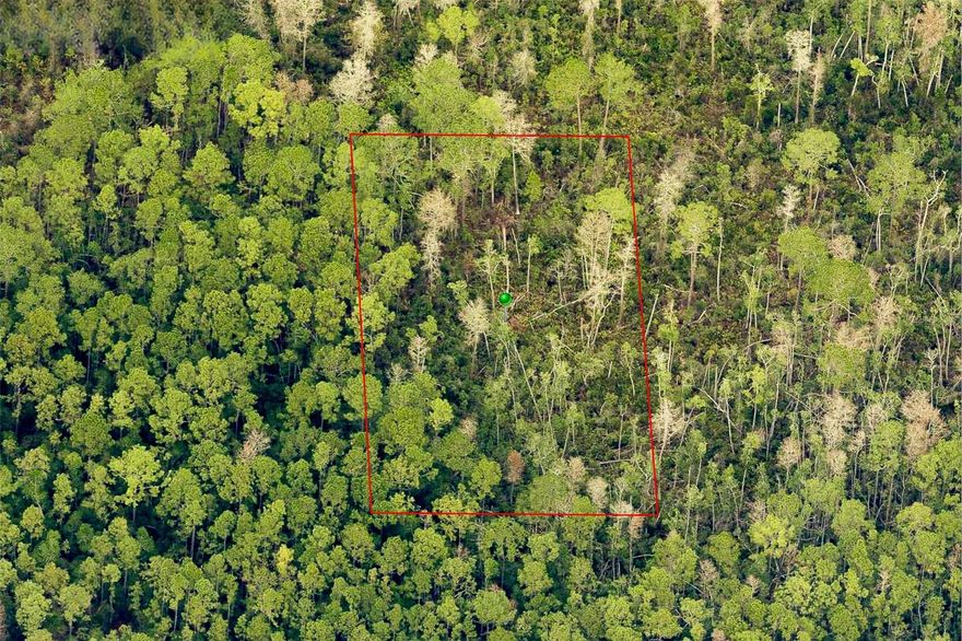 Major Price Cut. Don't miss out! Quiet and wooded lot located in the University Highlands area of Lake Helen. Enjoy privacy and natural surroundings just a short drive from I-4 and nearby shopping and dining. Ideal for future plans or as a long-term investment. Buyer to verify land use and zoning with Volusia County. See it today! SELLER FINANCING AVAILABLE.