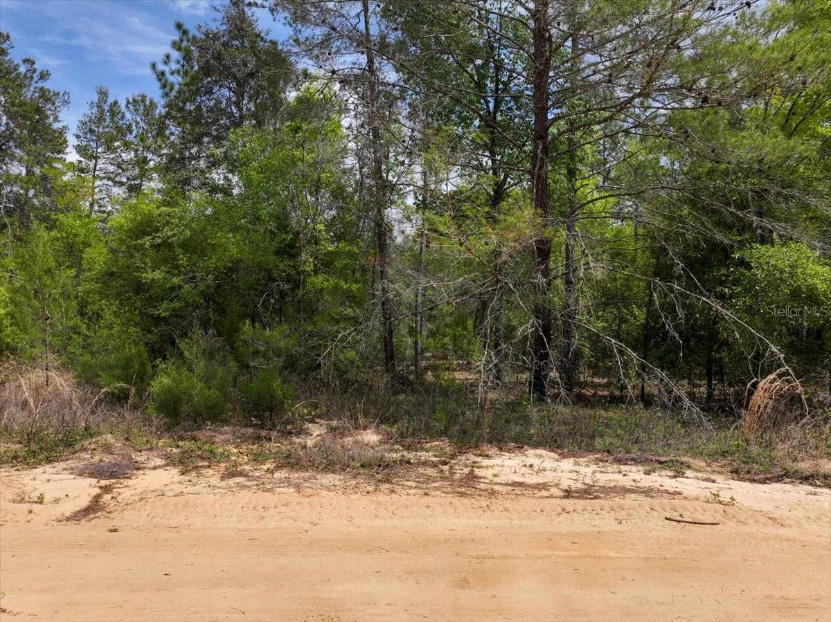 INTERLACHEN LAKES ESTATES - Land