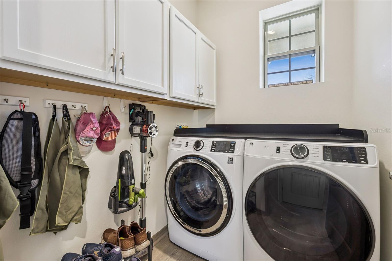 PALMS AT SERENOA - Residential