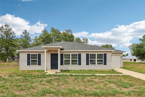 Photo of 223 Malauka Road, Ocklawaha, FL 32179 (MLS # O6404742)
