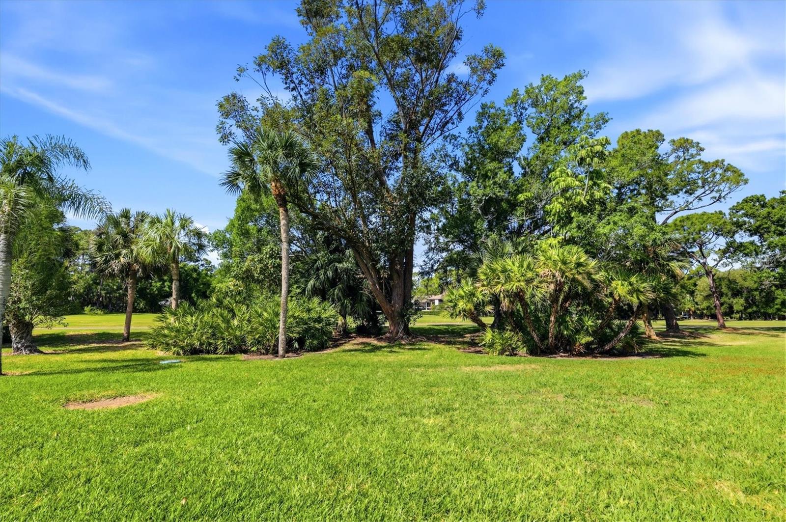 LONGWATER CHASE / THE MEADOWS - Residential