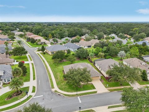 A home in MOUNT DORA