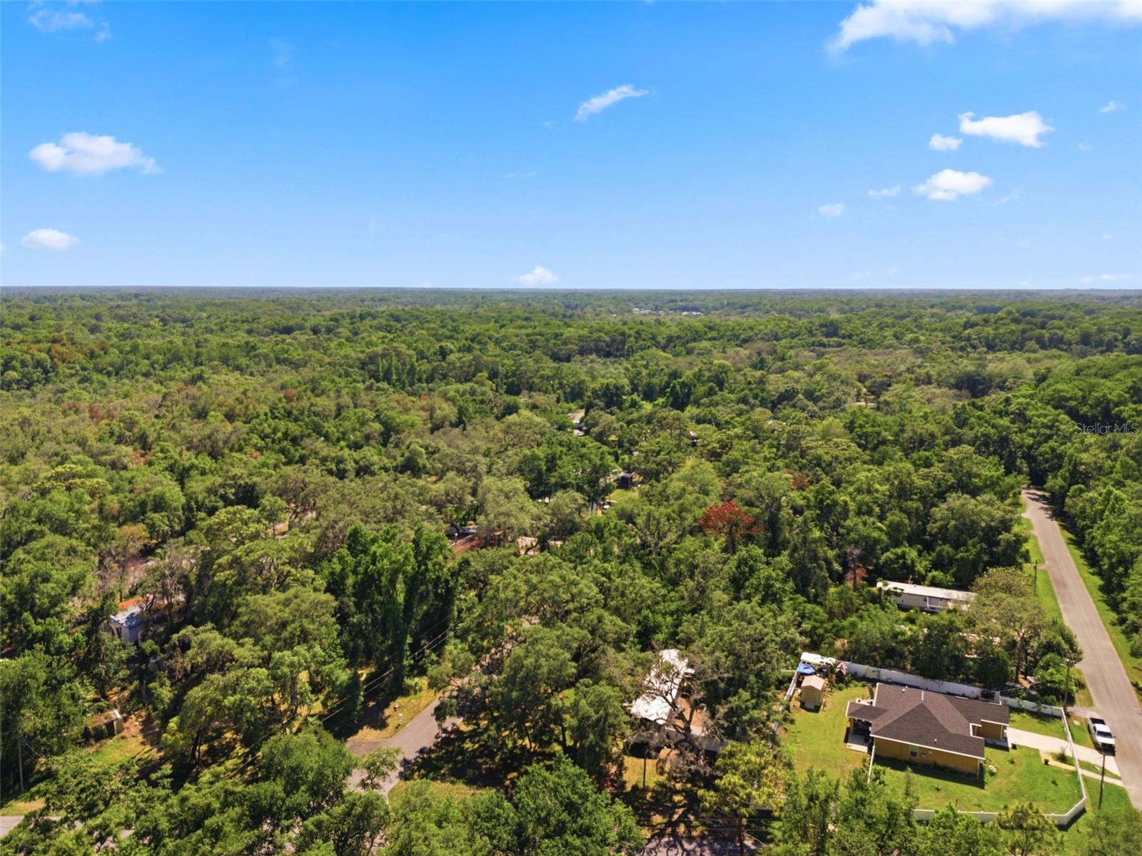 MOON LAKE ESTATES - Residential