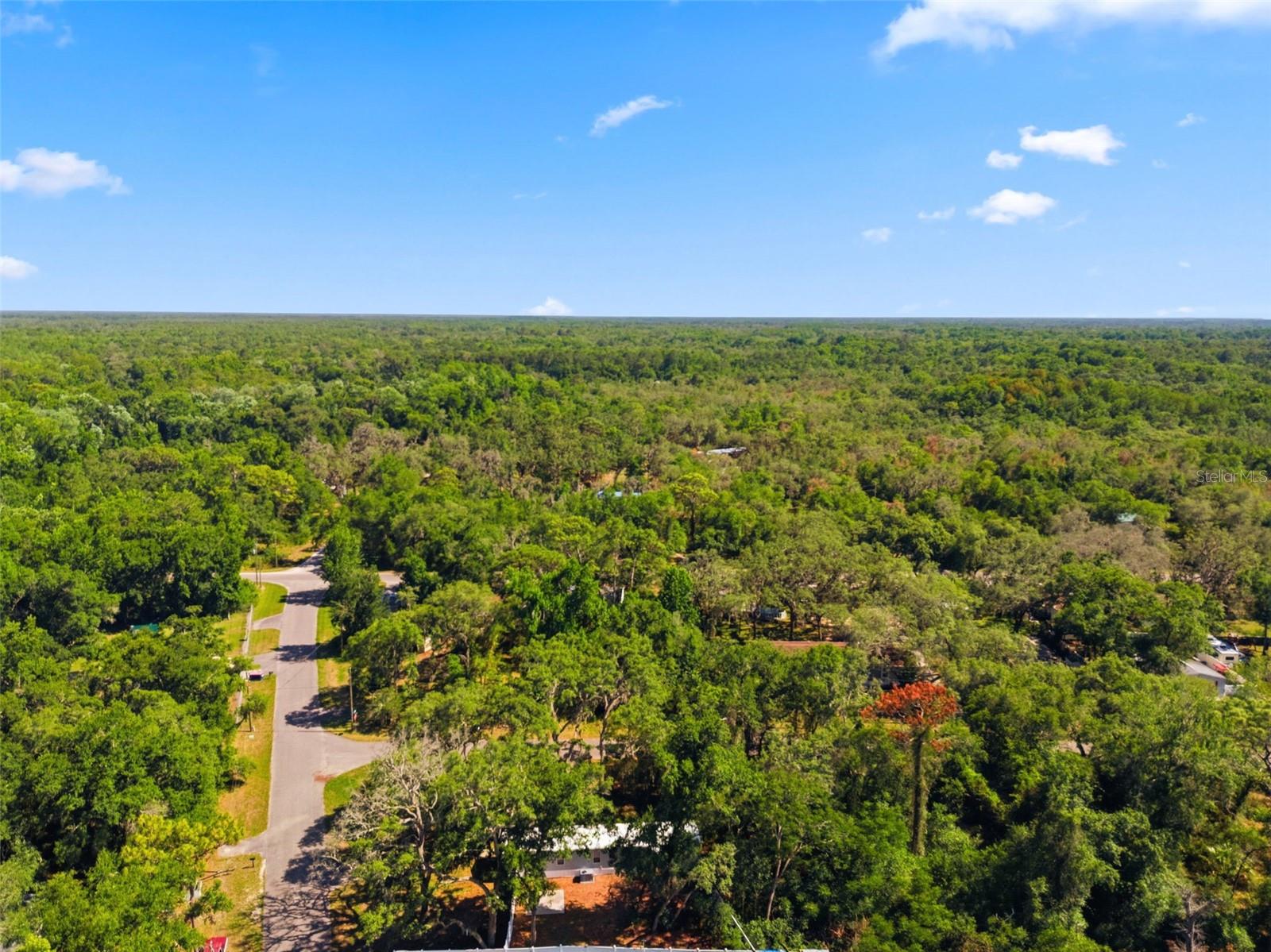 MOON LAKE ESTATES - Residential