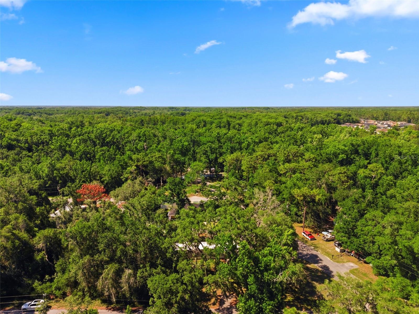 MOON LAKE ESTATES - Residential