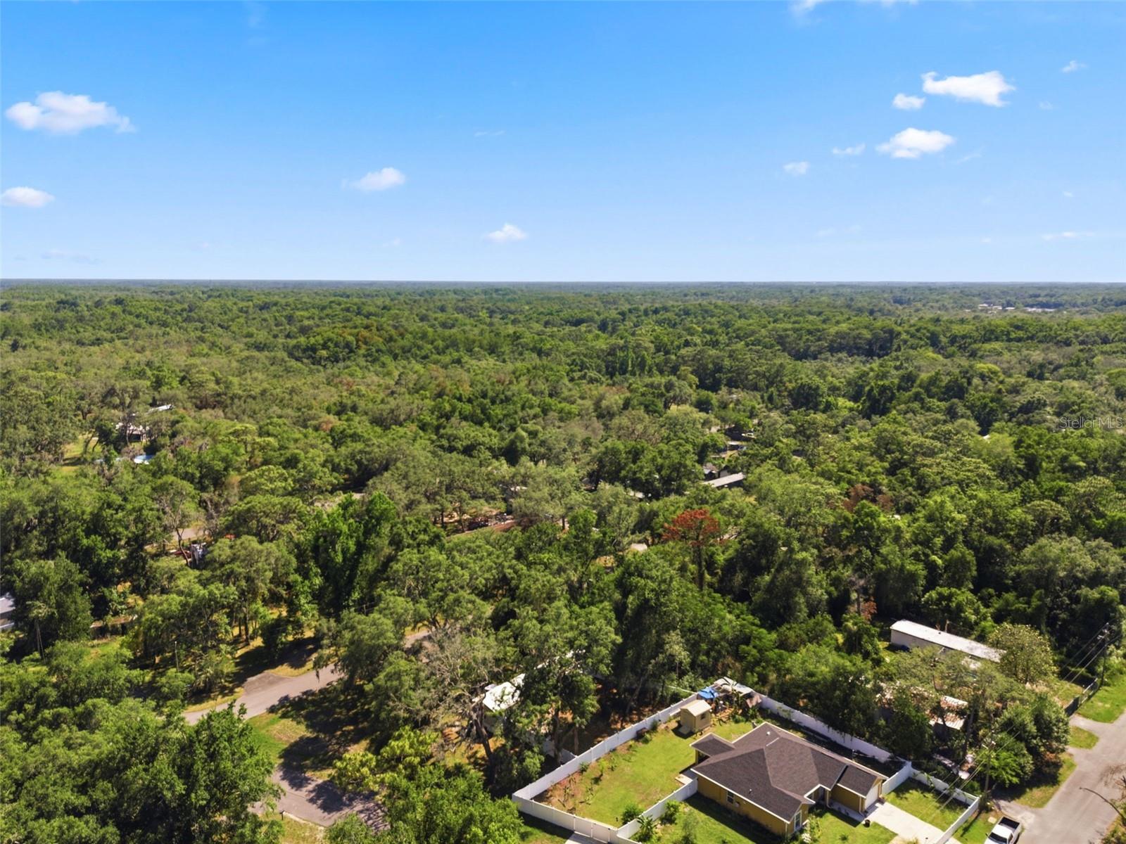 MOON LAKE ESTATES - Residential