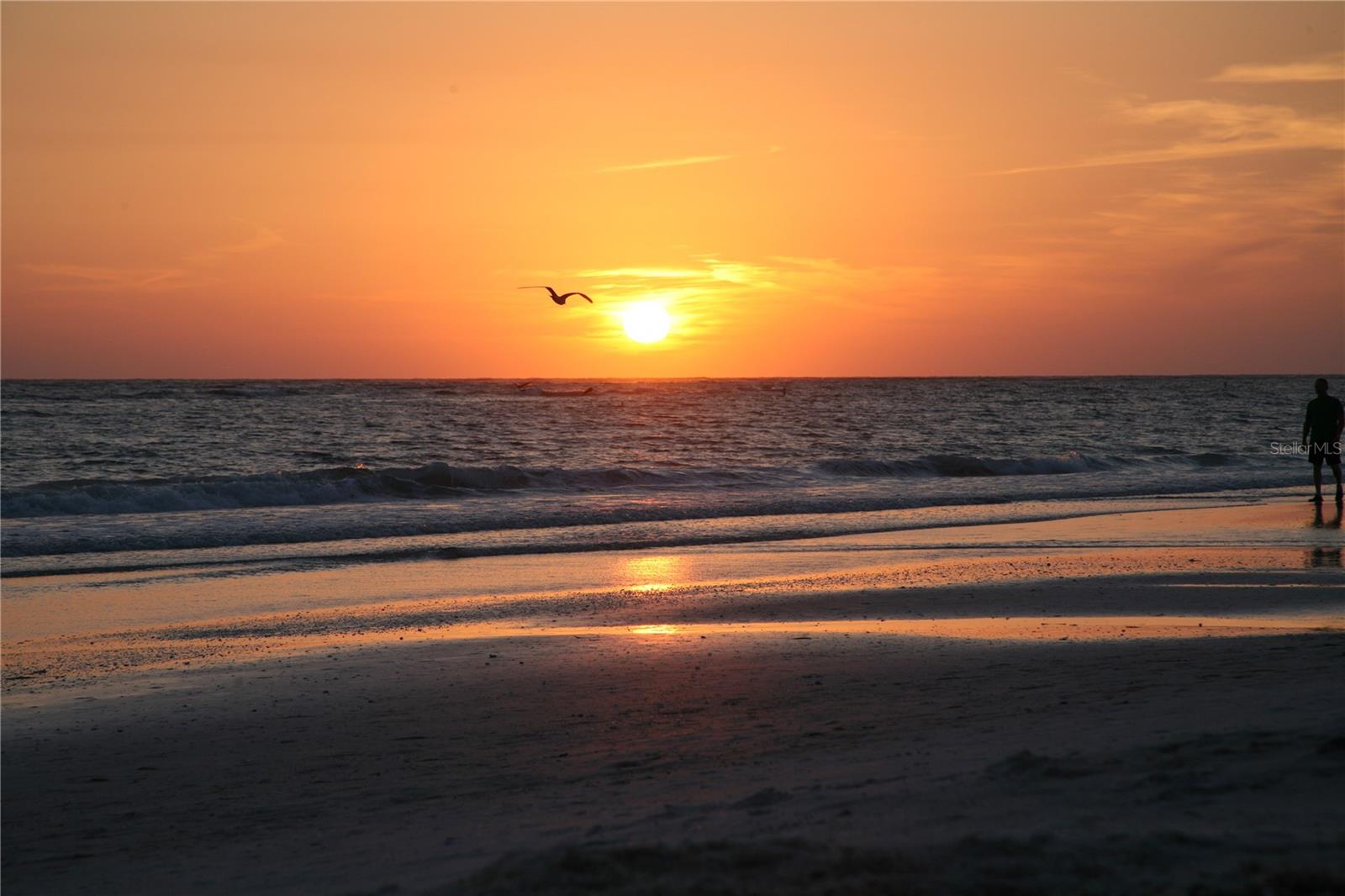 116 AVENIDA LA PALMA