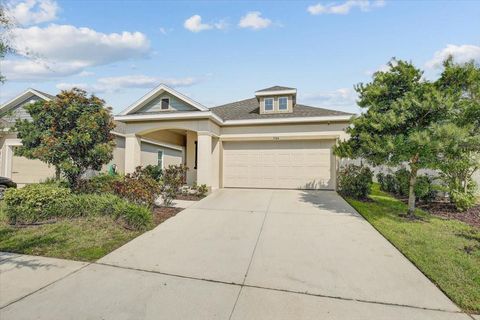 A home in APOLLO BEACH