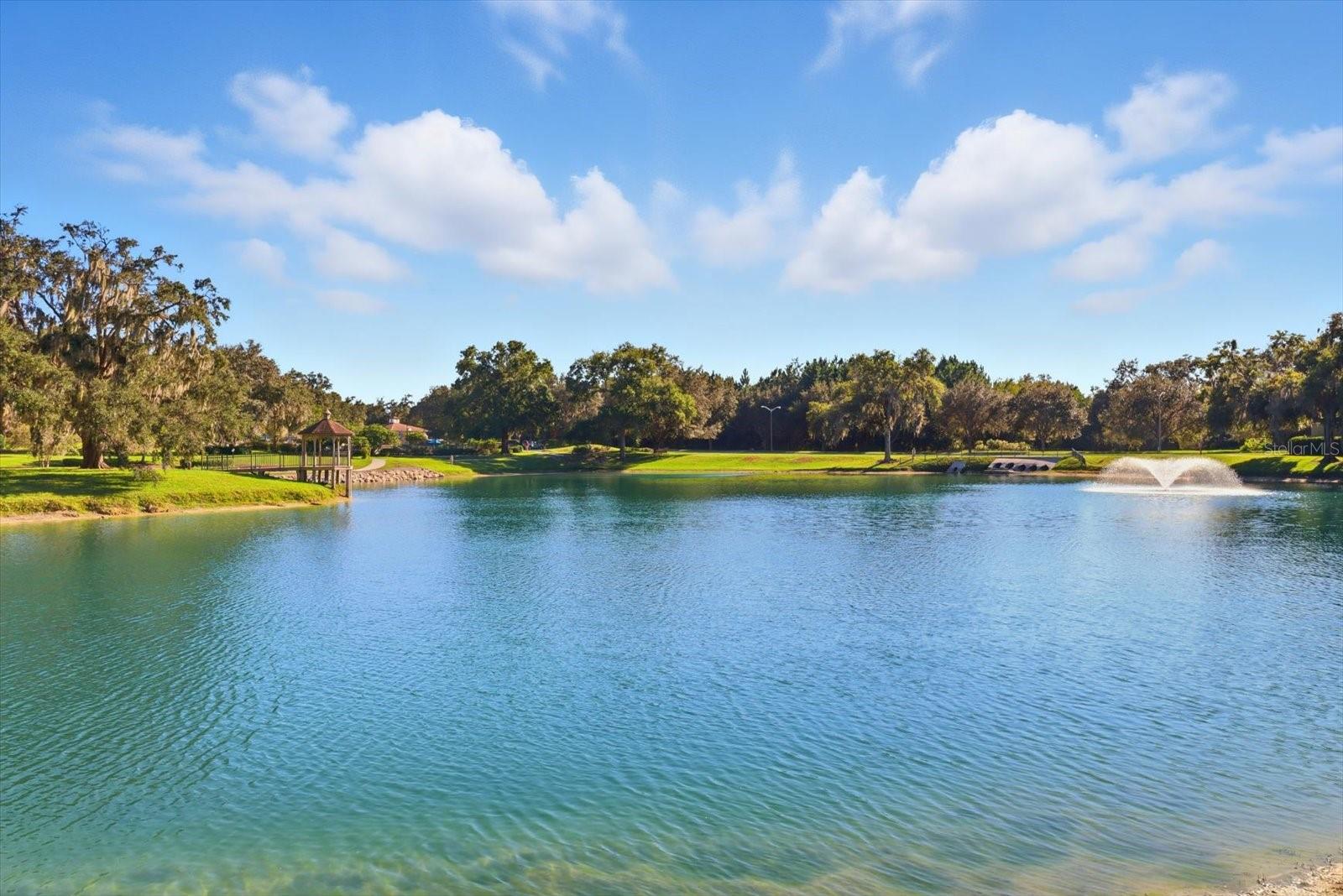 FAIRMONT VILLAGE 1ST ADD - Residential