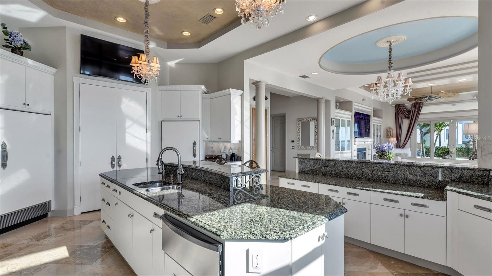 RESERVE OF OLD TAMPA BAY - Residential