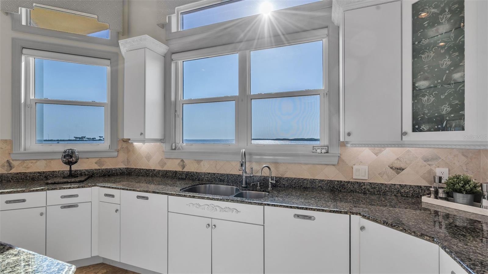 RESERVE OF OLD TAMPA BAY - Residential