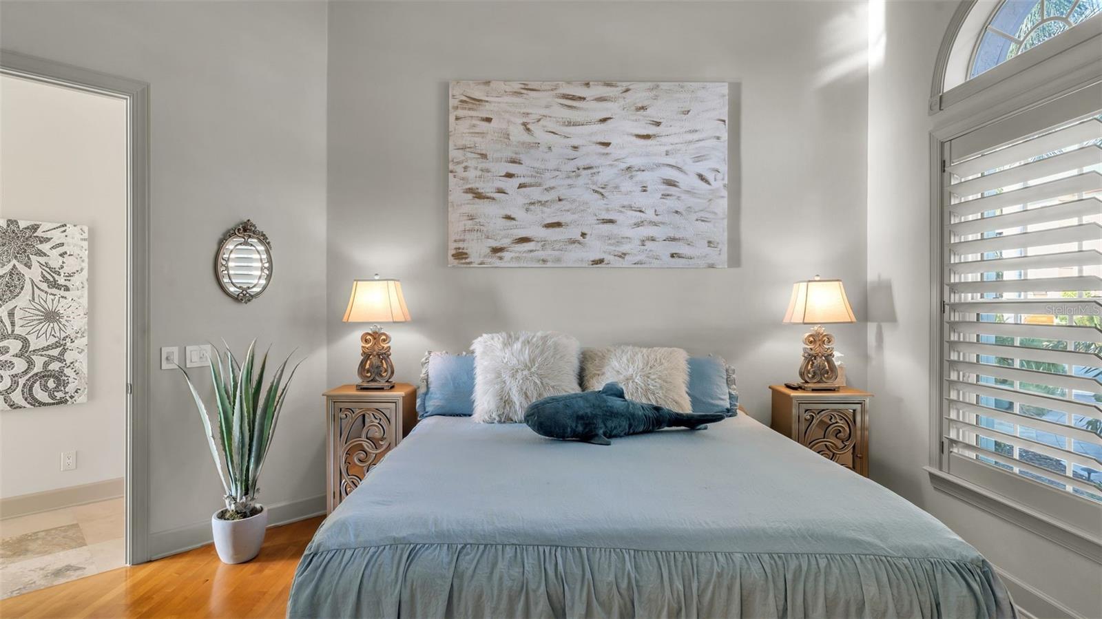 RESERVE OF OLD TAMPA BAY - Residential