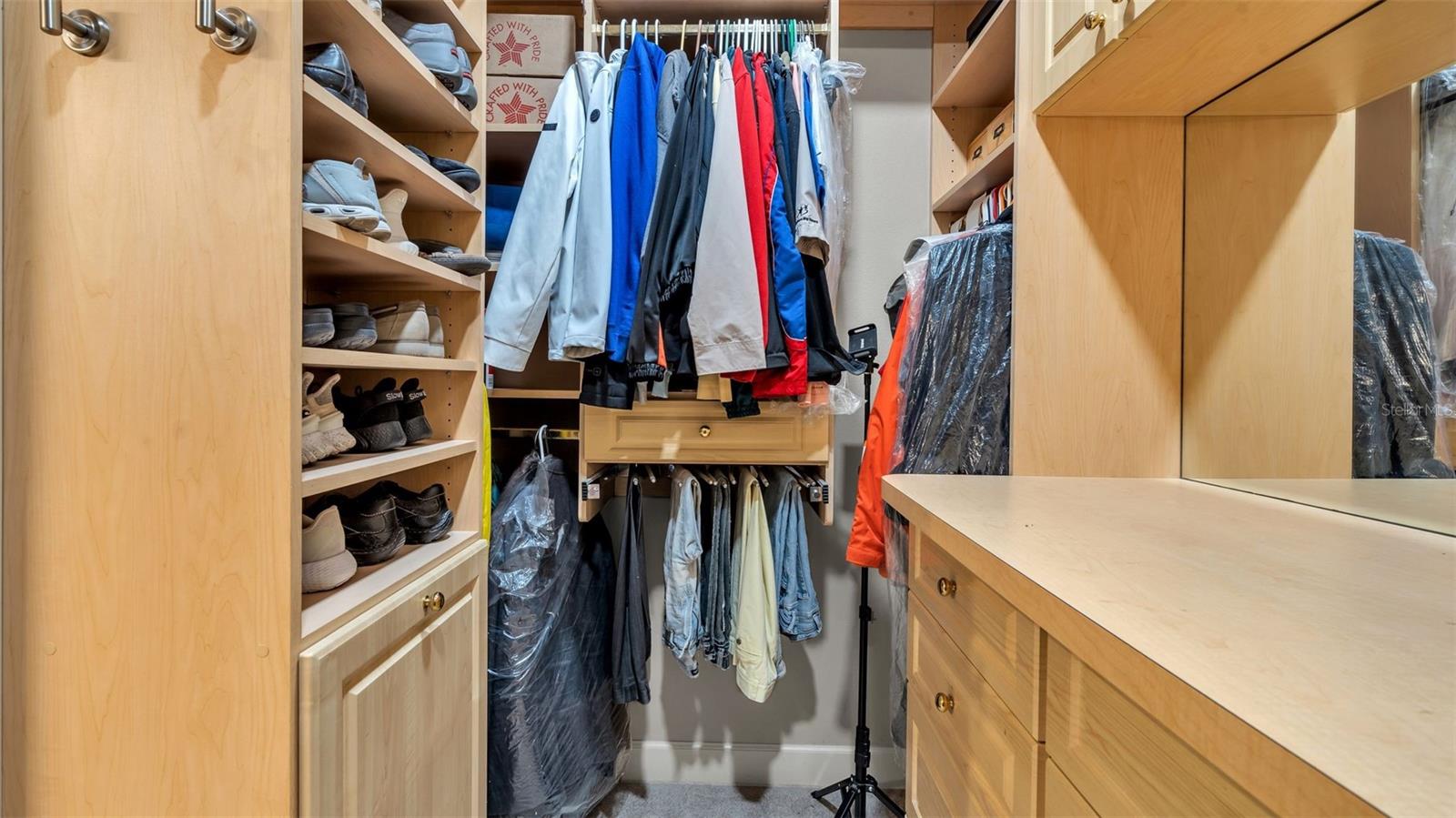 RESERVE OF OLD TAMPA BAY - Residential