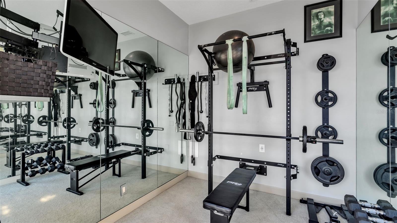 RESERVE OF OLD TAMPA BAY - Residential