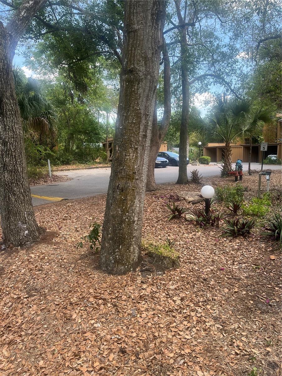 CROWN OAKS - Residential