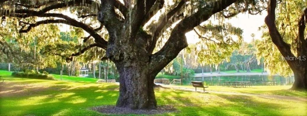 CROWN OAKS - Residential