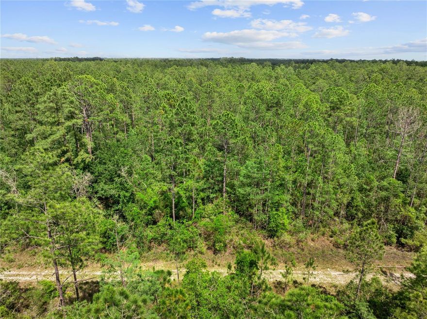 FOR INVESTORS to “BUY AND HOLD.” 

***OWNER FINANCING AVAILABLE***

*****LAND IS CURRENTLY NOT BUILDABLE AND NO PERMITS ARE BEING ISSUED ACCORDING TO FLAGLER COUNTY.*****

1.25 acres of wooded land on unimproved land. NO HOMEOWNER’S ASSOCIATION and no HOA fees or restrictive covenant.

Total dimensions for lot is 165'x325'. Setbacks are 25’ on the front, 20’ on the rear and 10’ on each side. Septic tank and well are required. You cannot put an RV on the land. Camping is not permitted.
Zero lot lines and private easements.
