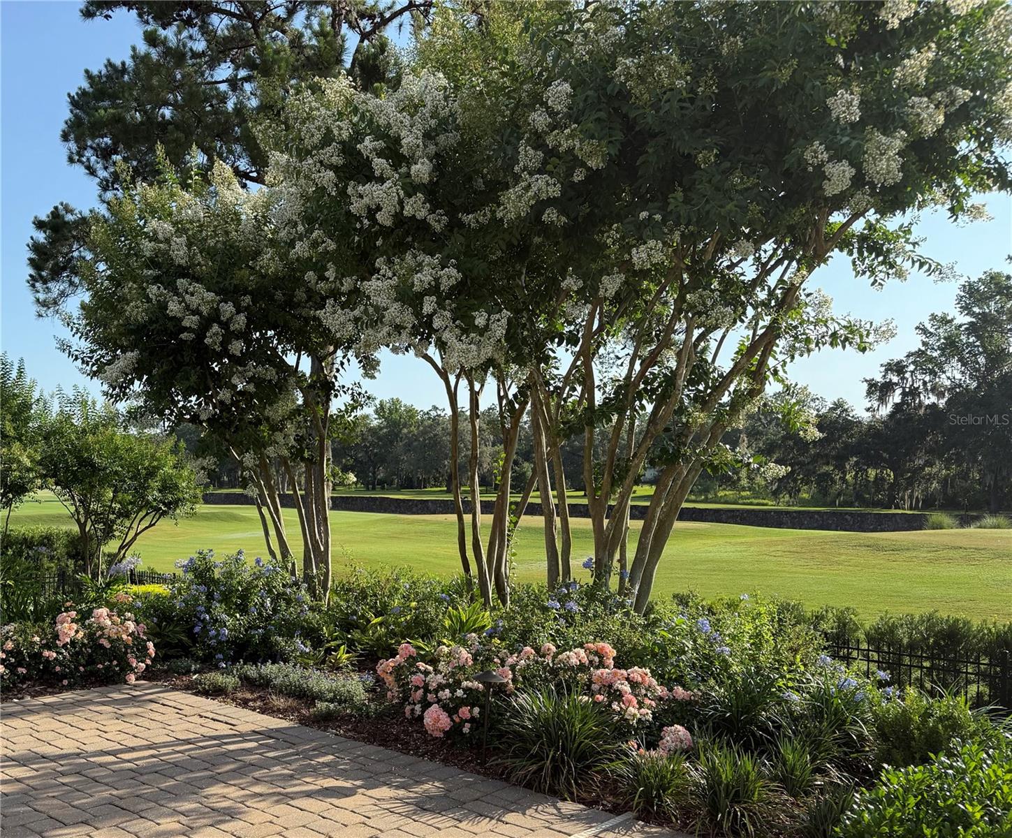 GOLDEN OCALA - Residential