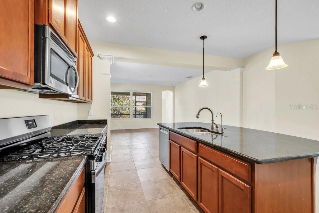 FISHHAWK RANCH TRACT 8 PARTIAL REPLAT - Residential