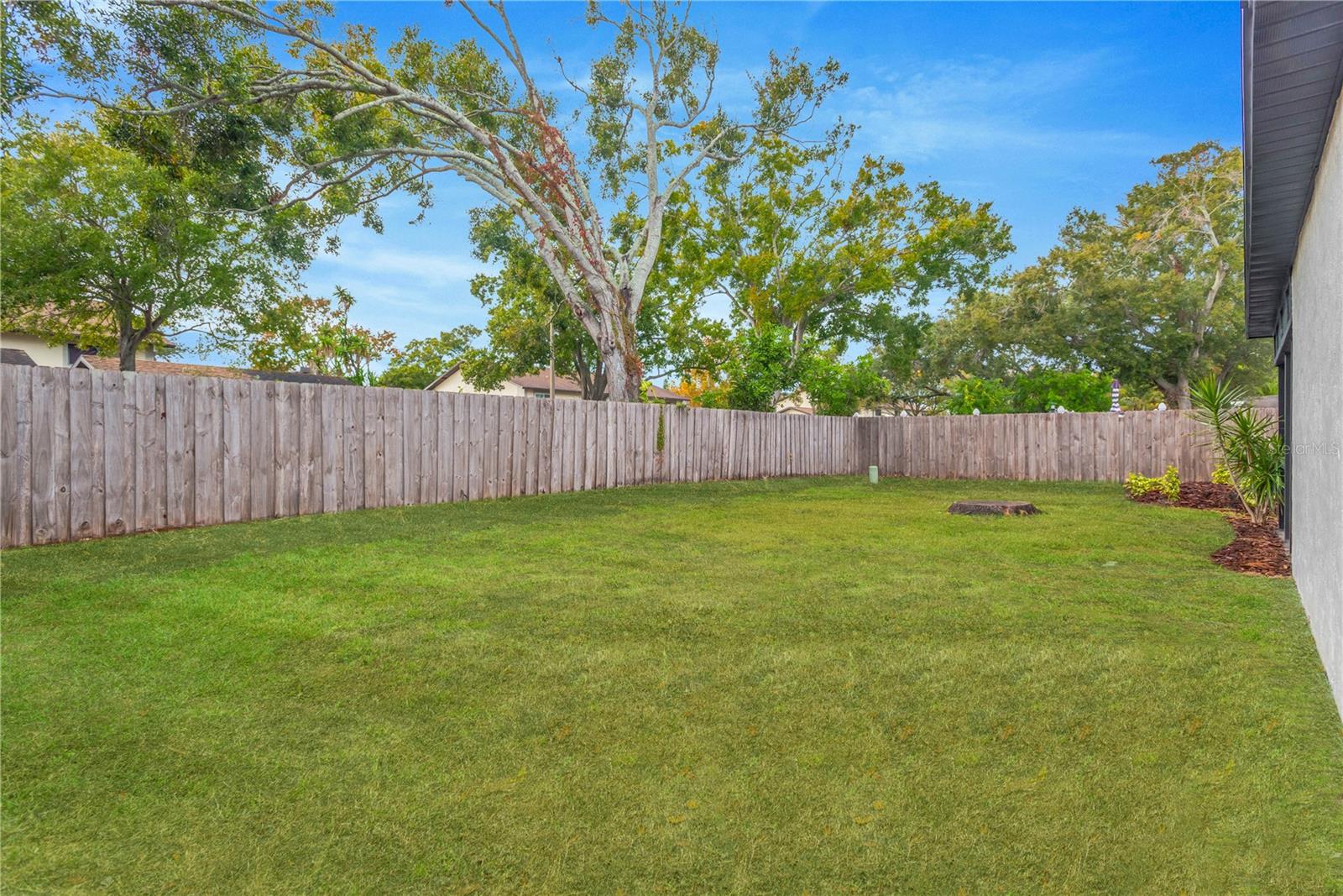 NORTH WHITNEY PINES - Residential