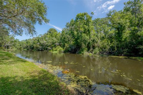 A home in PALM HARBOR