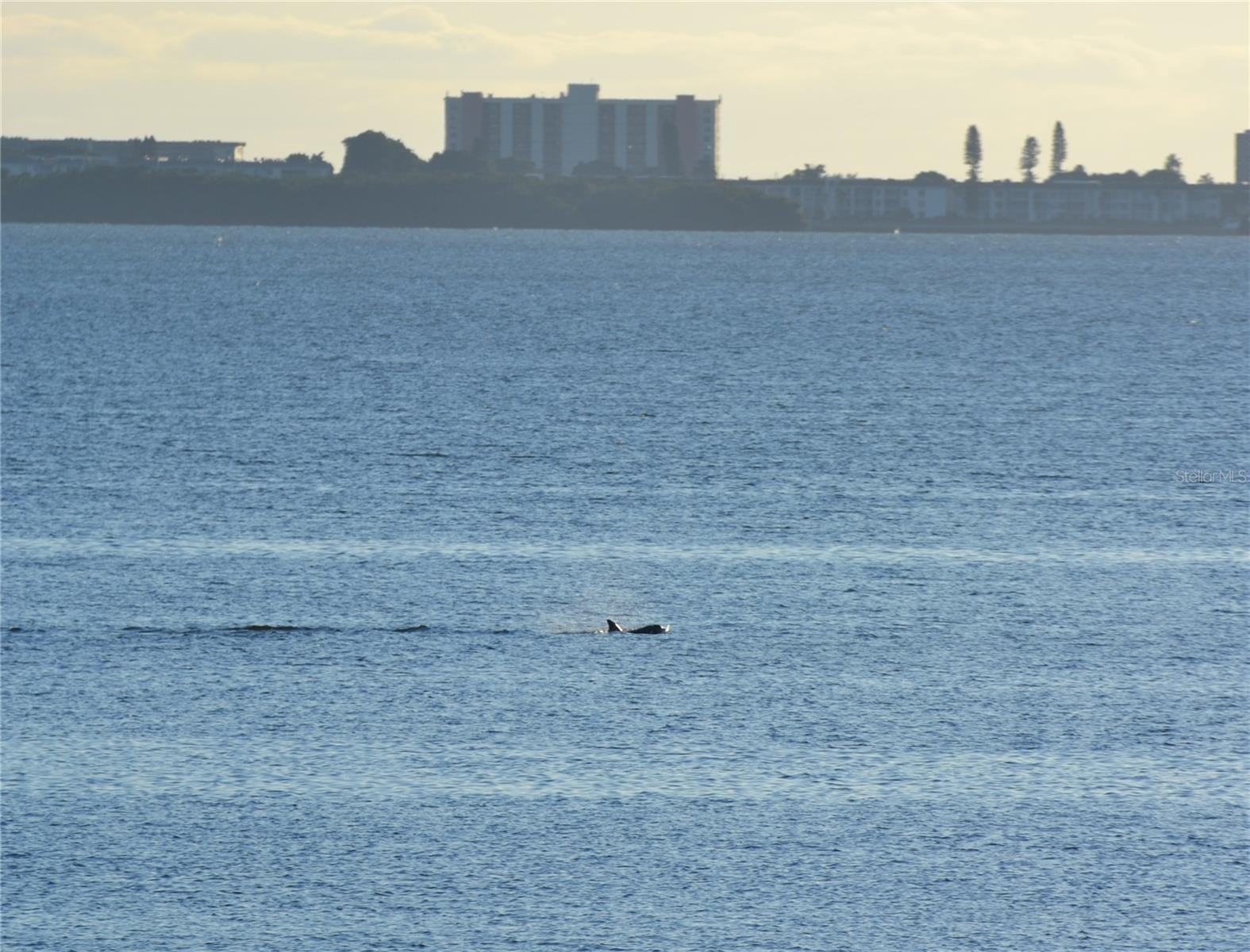 THE VISTAS AT WILD OAK BAY I AMD - Residential
