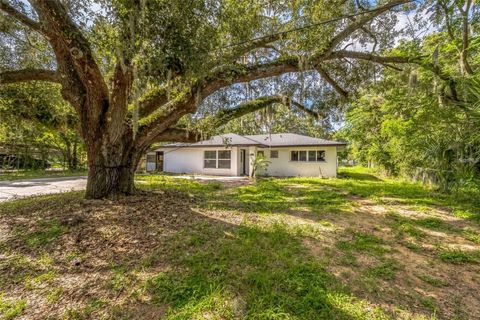 Photo of 4212 Harry Drive, Fruitland Park, FL 34731 (MLS # S5145577)